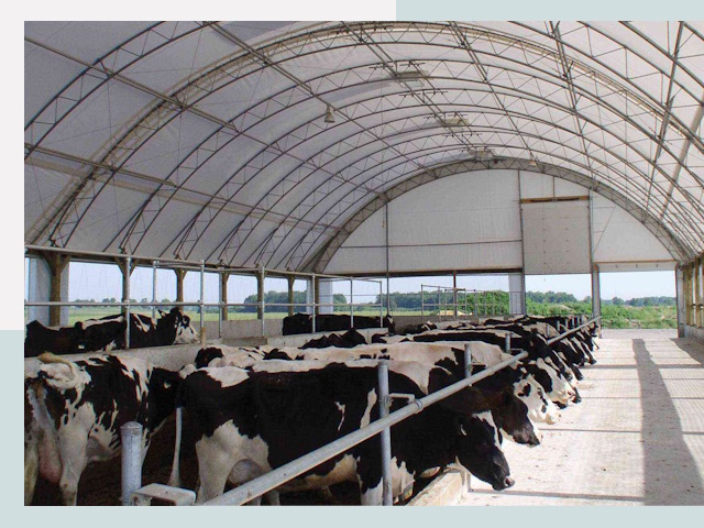 Тентовые коровники в Таре